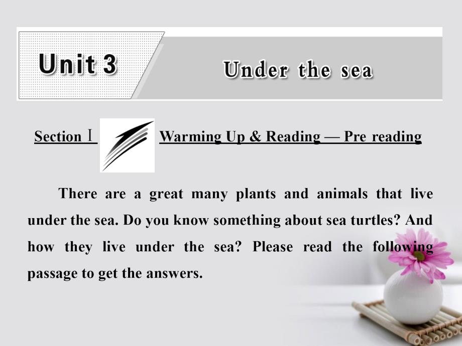 2017-2018学年高中英语 unit 3 under the sea section ⅰ warming up reading-pre-reading课件 新人教版选修7_第1页