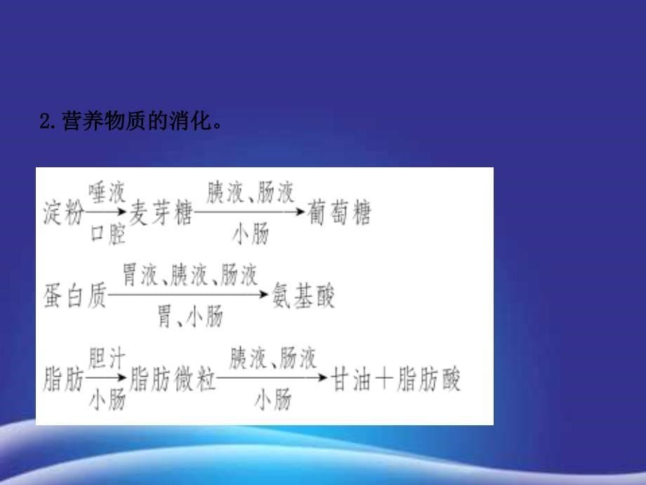 初三中考生物专题五复习课件_第5页