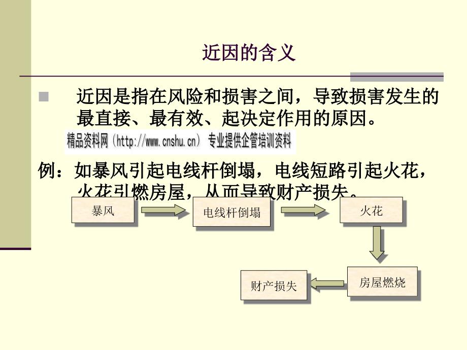 保险的近因原则与损失补偿原则.ppt_第2页