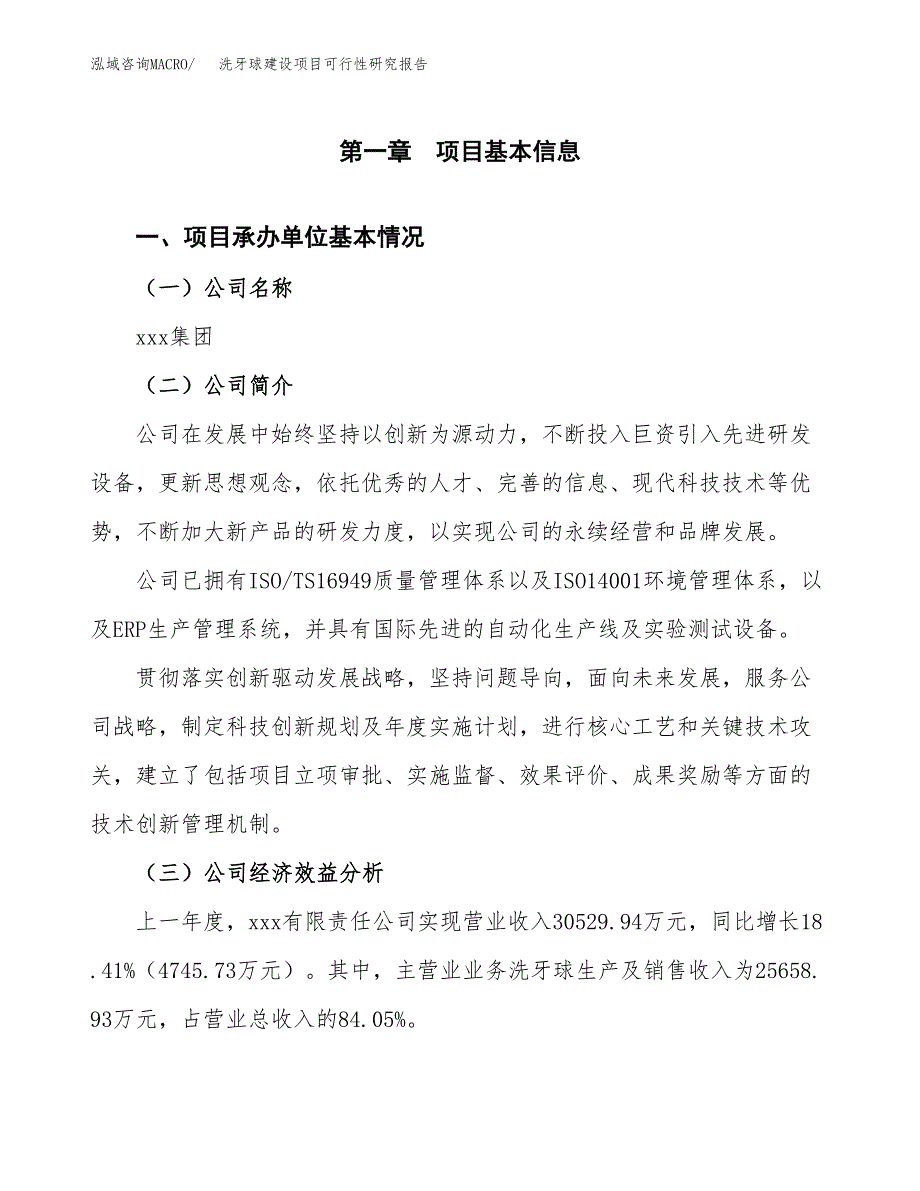 洗牙球建设项目可行性研究报告（word下载可编辑）_第4页