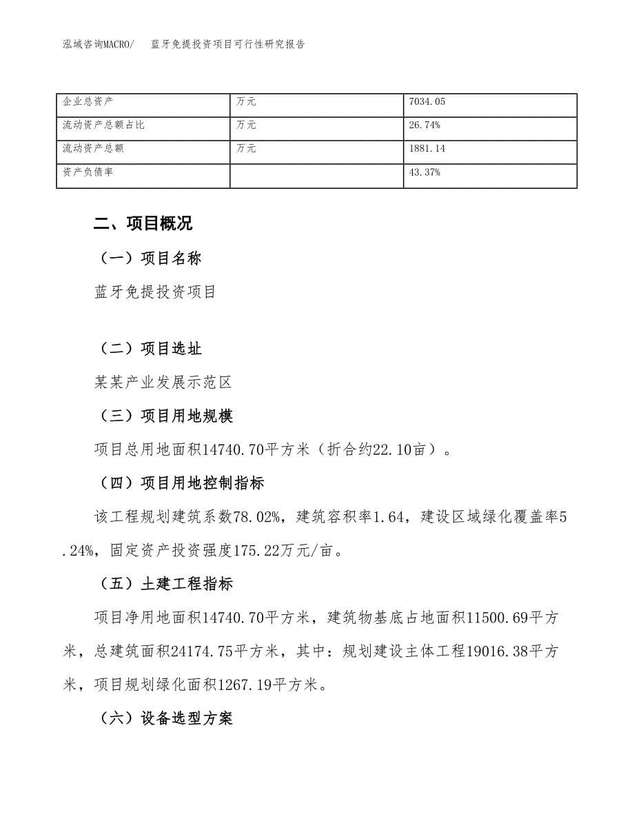 蓝牙免提投资项目可行性研究报告(word可编辑).docx_第5页