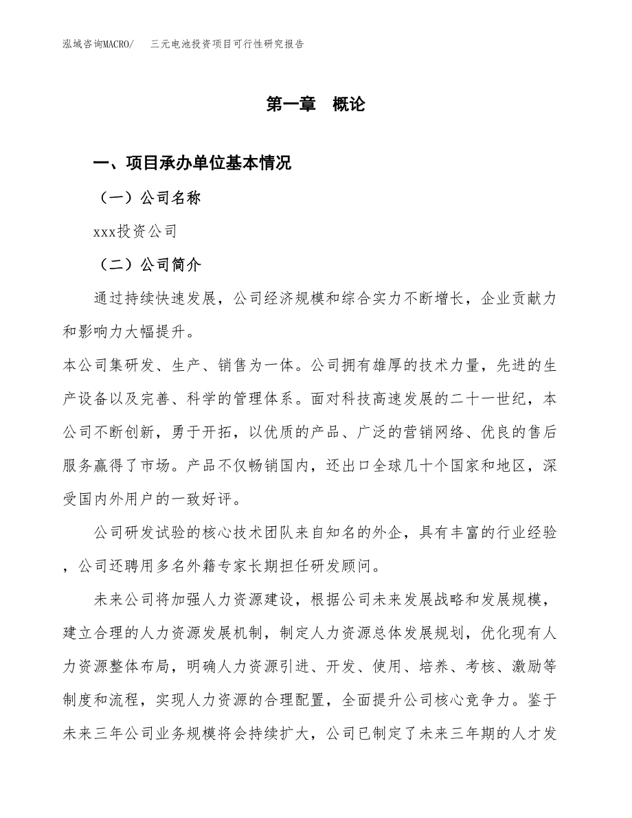 三元电池投资项目可行性研究报告(word可编辑).docx_第3页