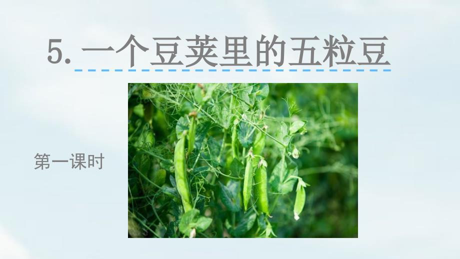部编版人教2019-2020年四年级语文上册5 一个豆荚里的五粒豆课件_第1页