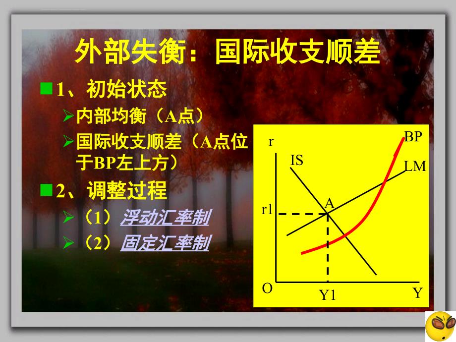 第四节开放条件下的经济调整政策.ppt_第2页