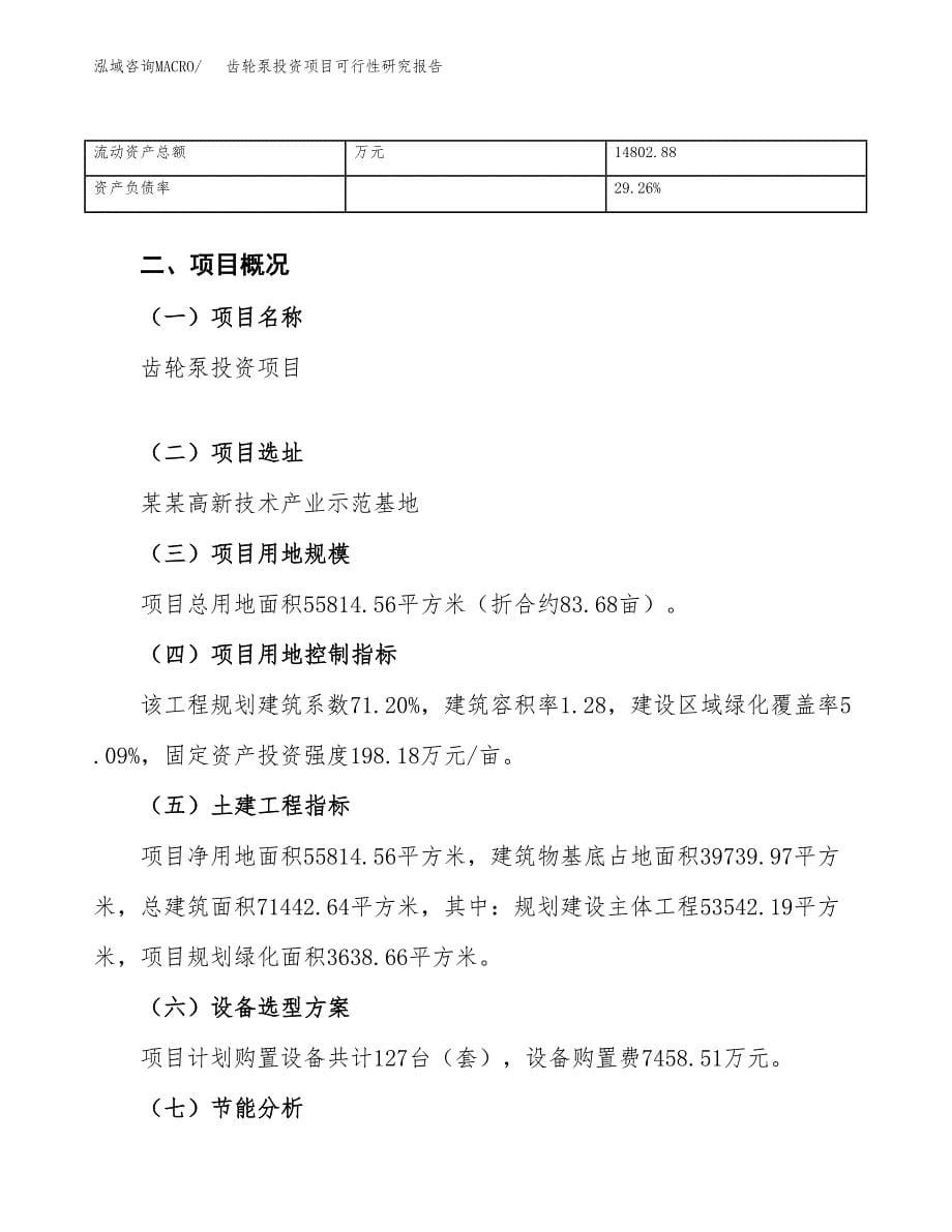 齿轮泵投资项目可行性研究报告(word可编辑).docx_第5页