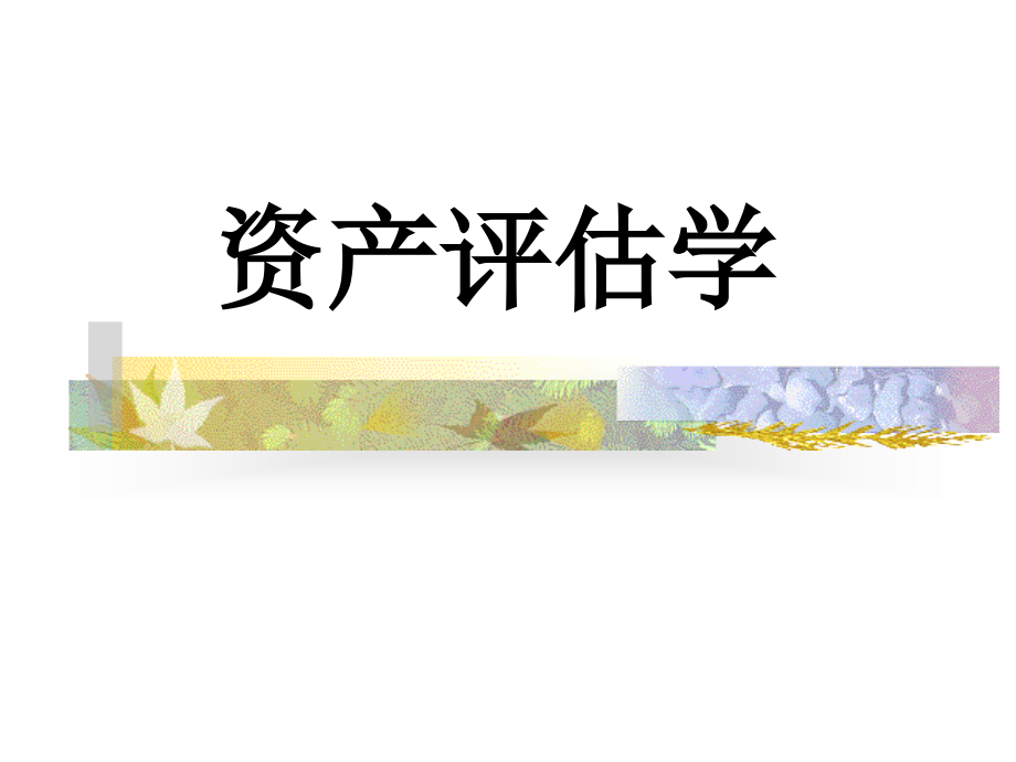 资产评估学课件.ppt_第1页