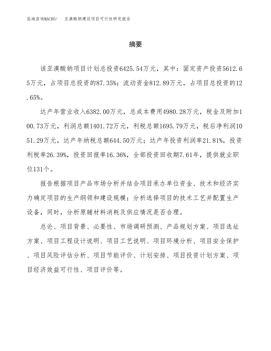 亚溴酸钠建设项目可行性研究报告（word下载可编辑）_第2页