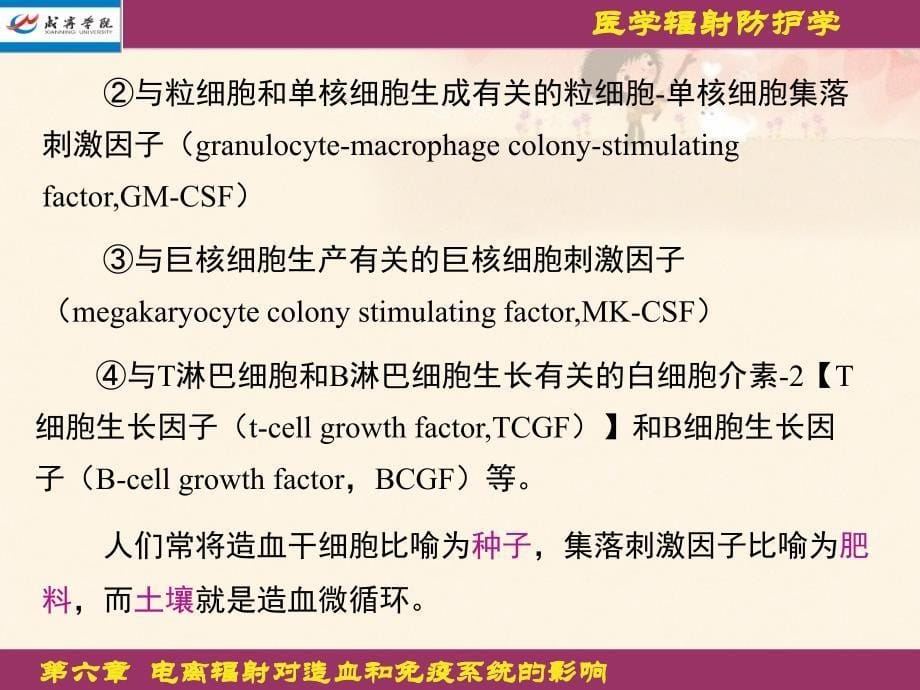 电离辐射对造血和免疫系统影响_第5页