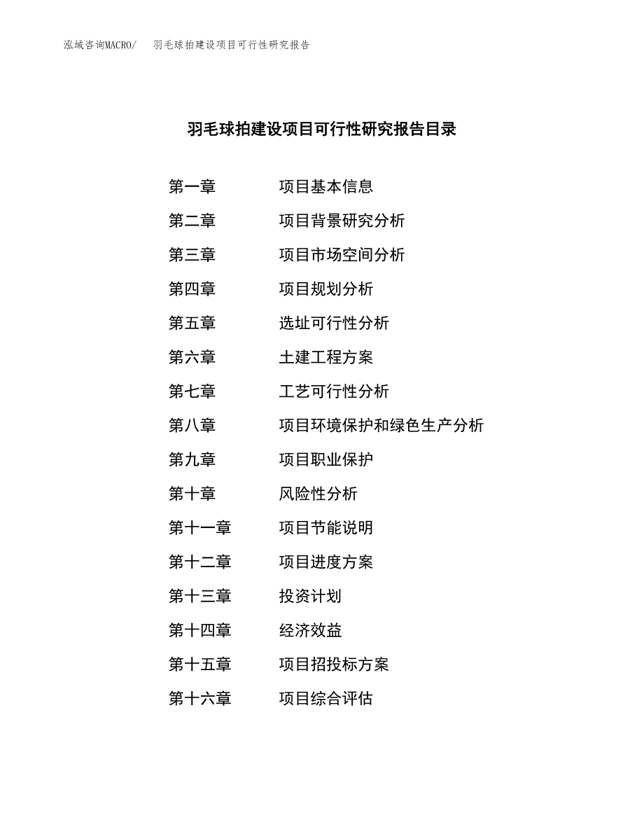 羽毛球拍建设项目可行性研究报告（word下载可编辑）_第3页