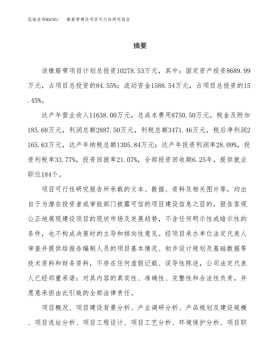 橡筋带建设项目可行性研究报告（word下载可编辑）_第2页