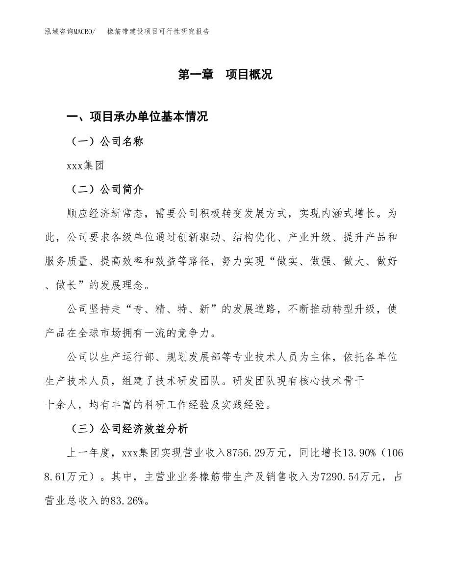 橡筋带建设项目可行性研究报告（word下载可编辑）_第5页