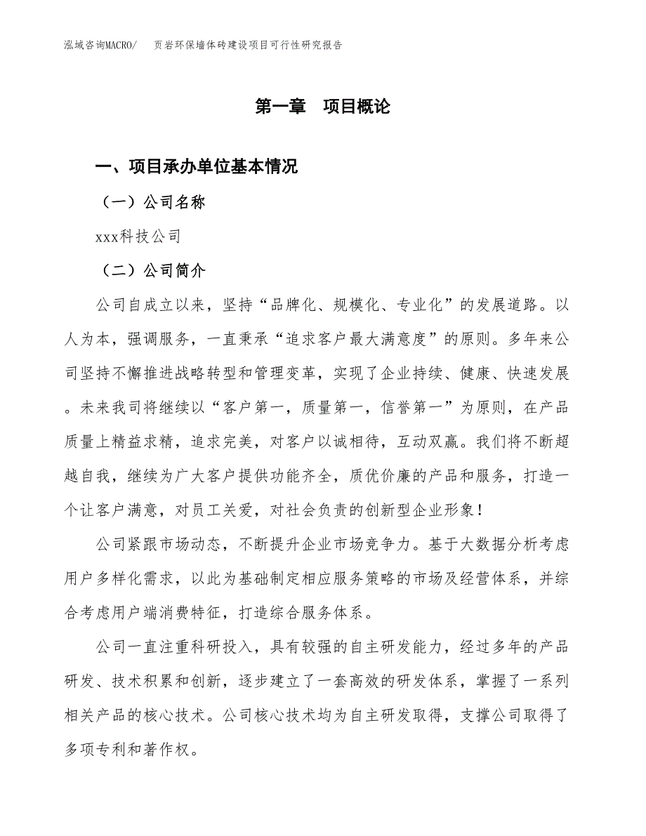 页岩环保墙体砖建设项目可行性研究报告（word下载可编辑）_第4页