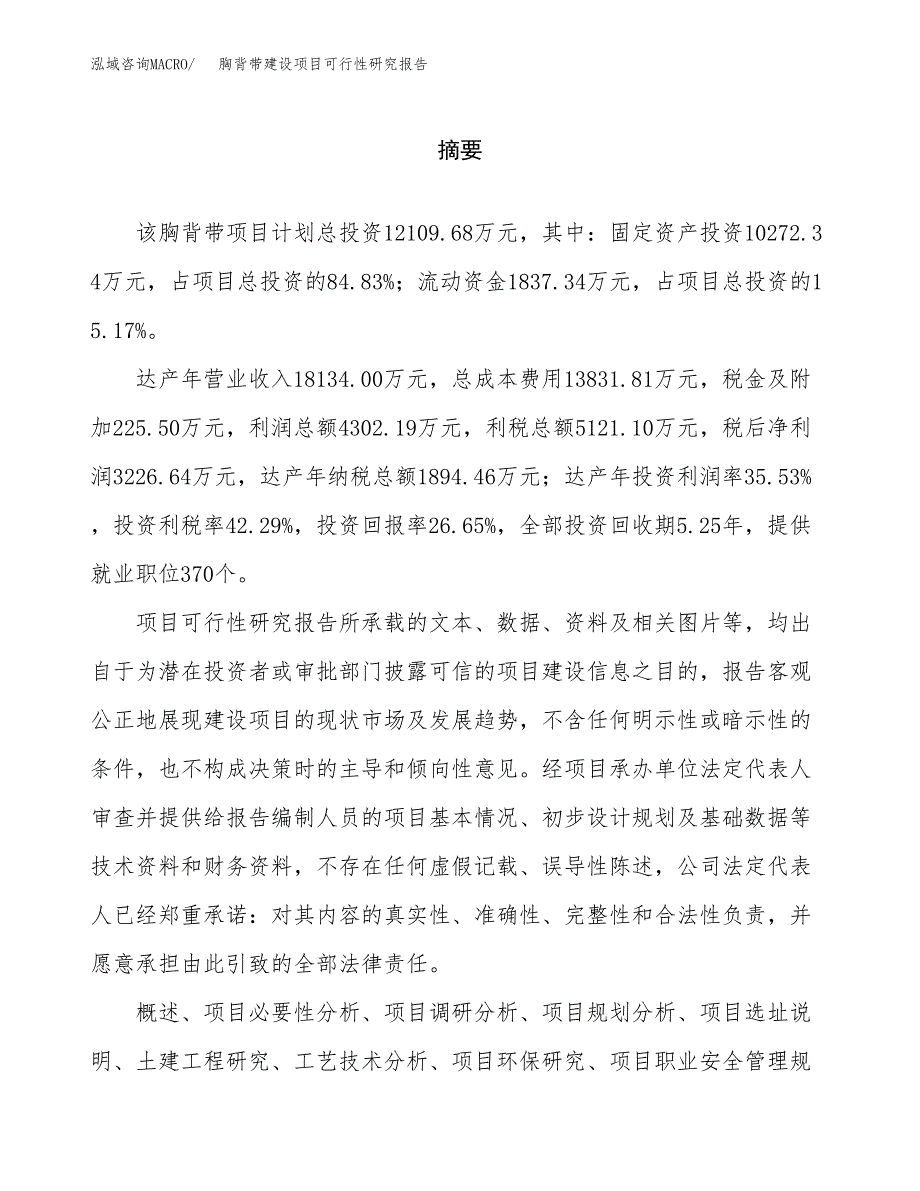 胸背带建设项目可行性研究报告（word下载可编辑）_第2页