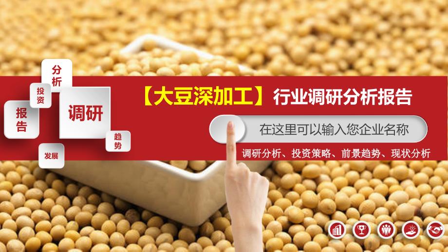 大豆深加工行业调研分析报告_第1页