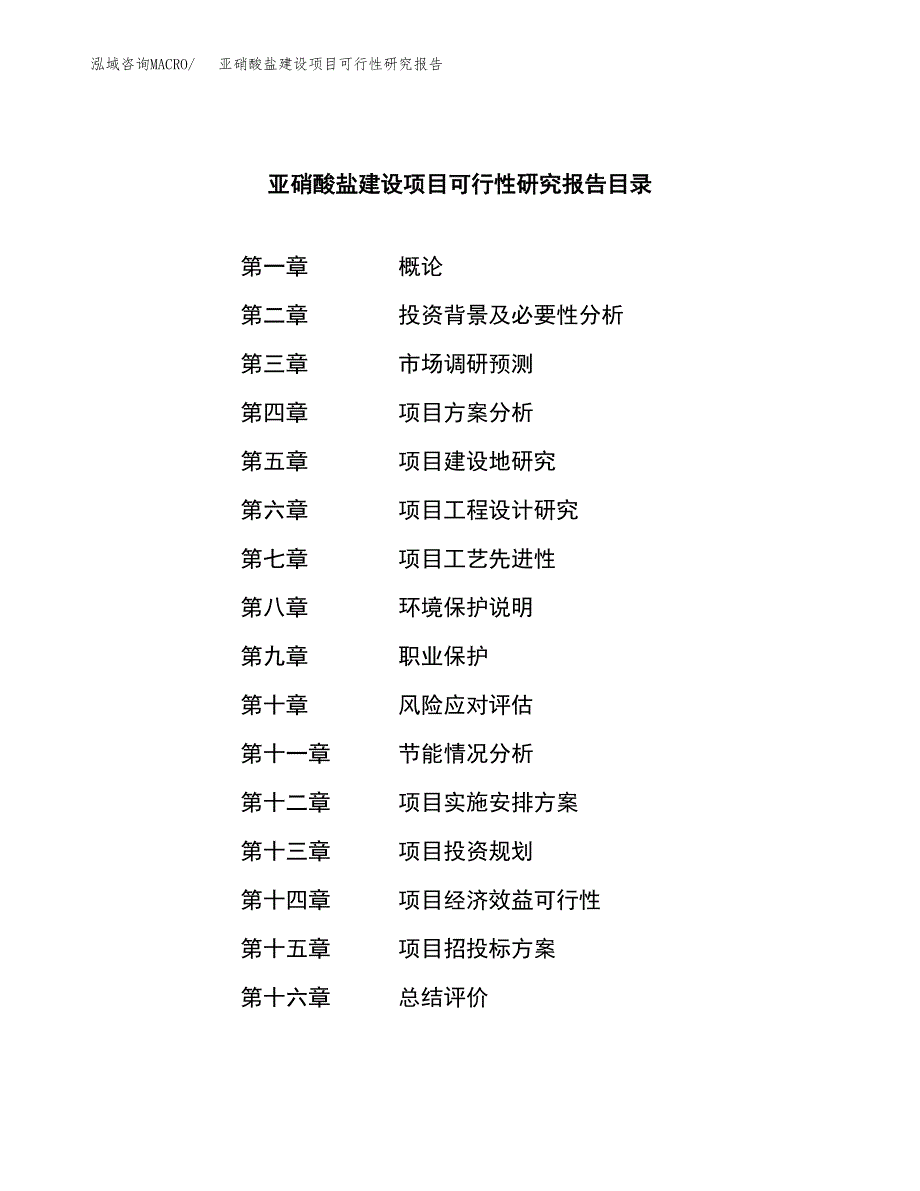 亚硝酸盐建设项目可行性研究报告（word下载可编辑）_第3页