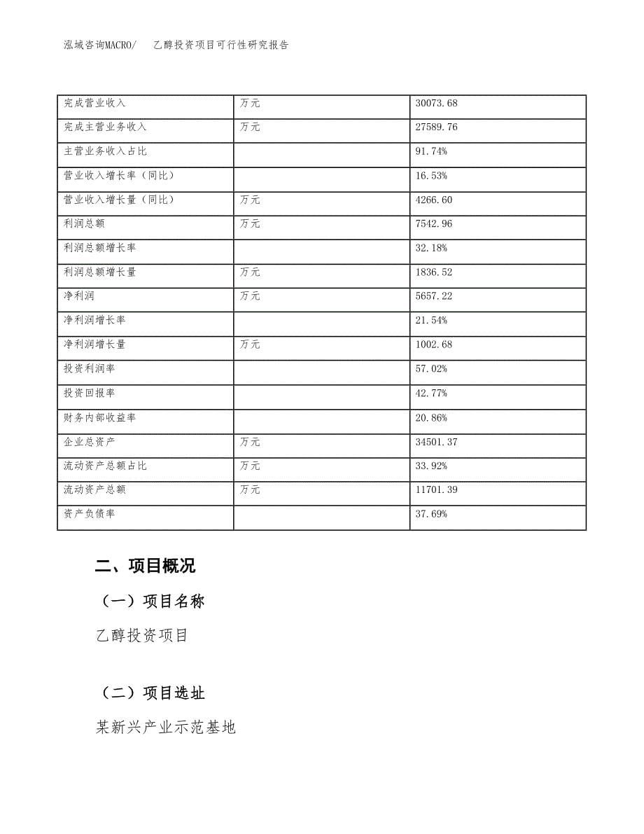 乙醇投资项目可行性研究报告(word可编辑).docx_第5页