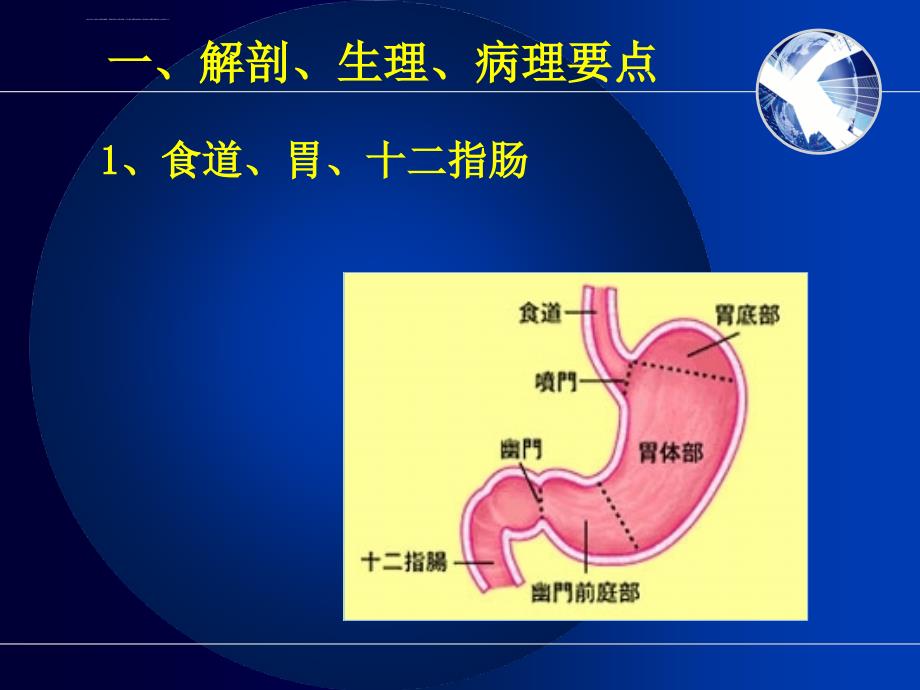 消化系统疾病医疗及病人管理知识分析护理.ppt_第3页