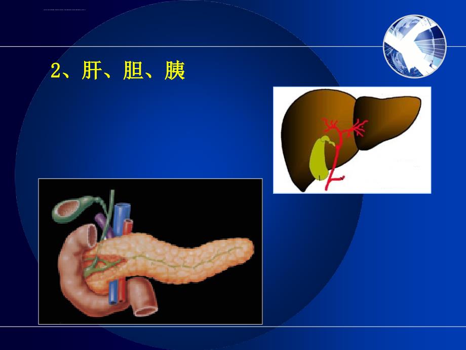 消化系统疾病医疗及病人管理知识分析护理.ppt_第4页