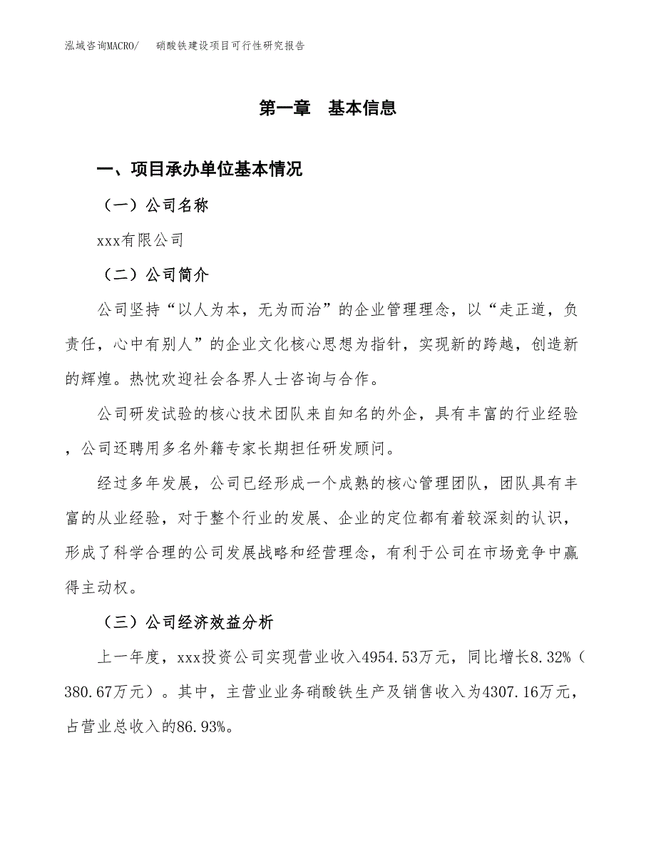 硝酸铁建设项目可行性研究报告（word下载可编辑）_第4页