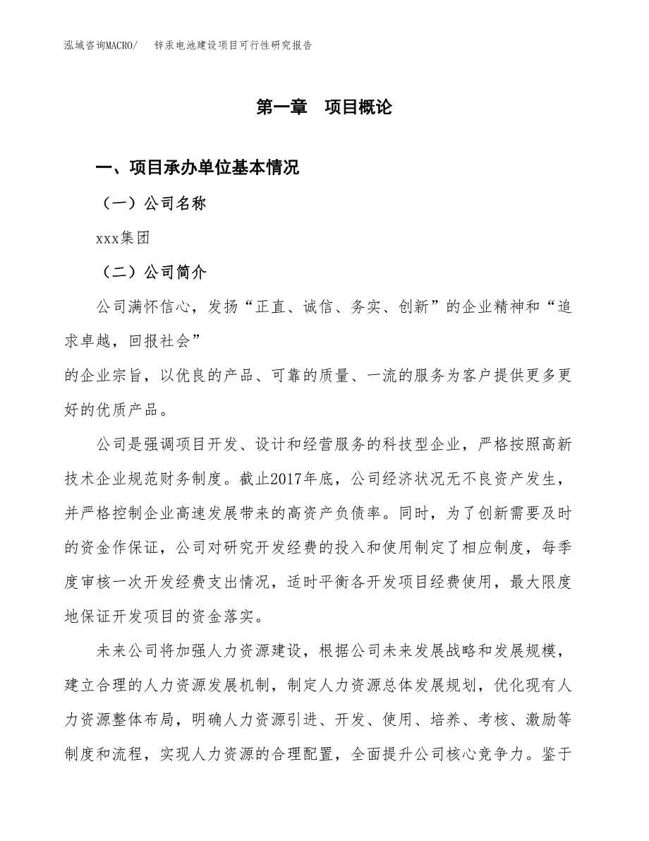 锌汞电池建设项目可行性研究报告（word下载可编辑）_第4页