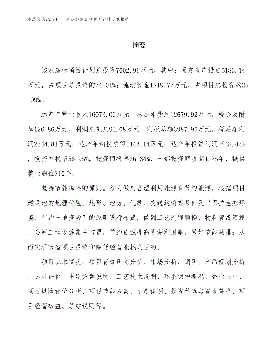 洗涤标建设项目可行性研究报告（word下载可编辑）_第2页