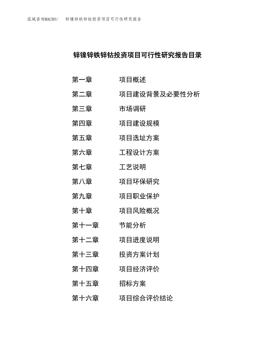 锌镍锌铁锌钴投资项目可行性研究报告(word可编辑).docx_第2页