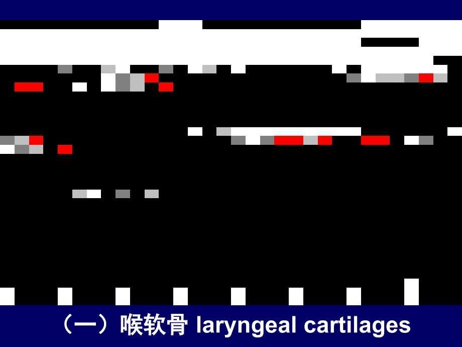 喉部断层_第5页