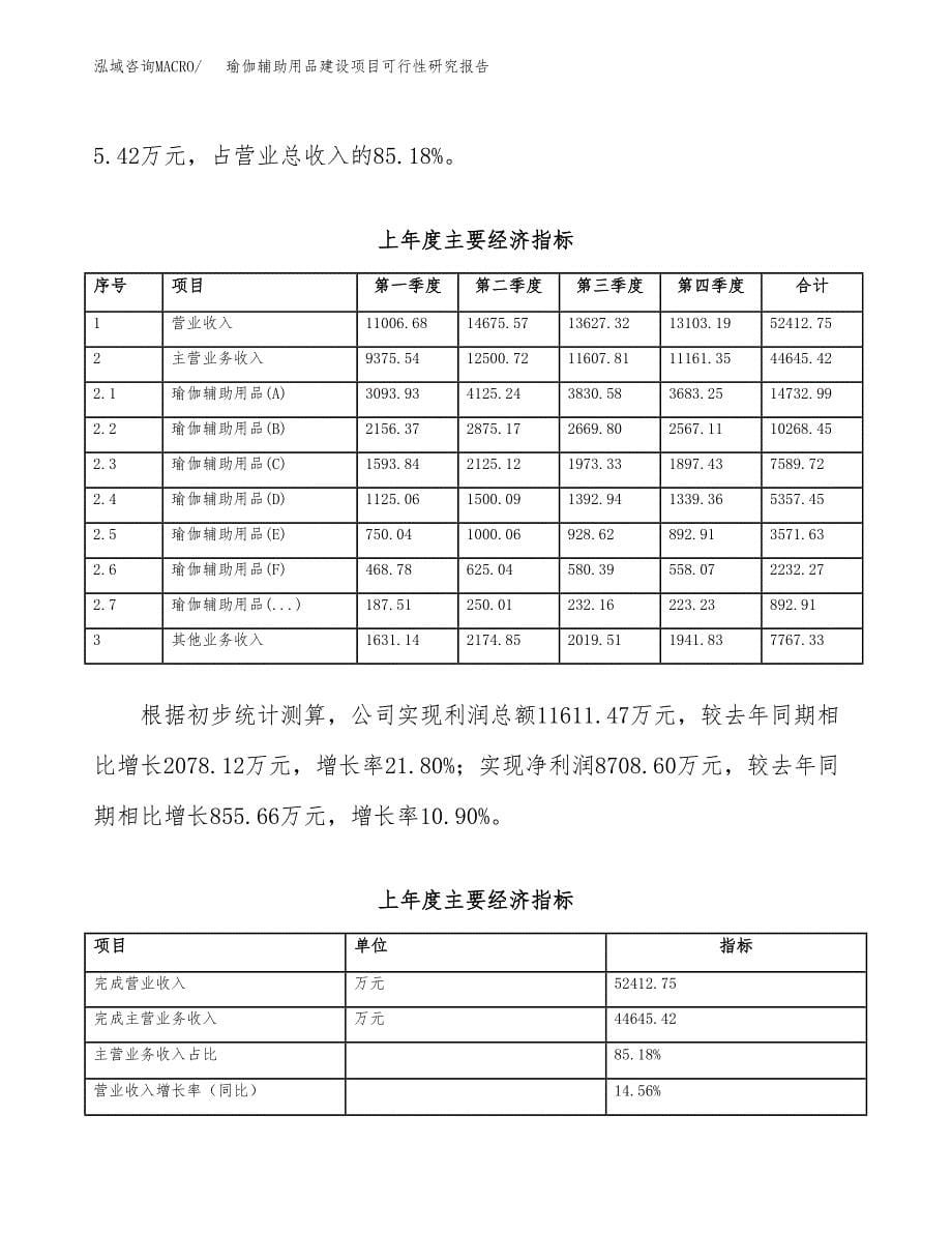 瑜伽辅助用品建设项目可行性研究报告（word下载可编辑）_第5页