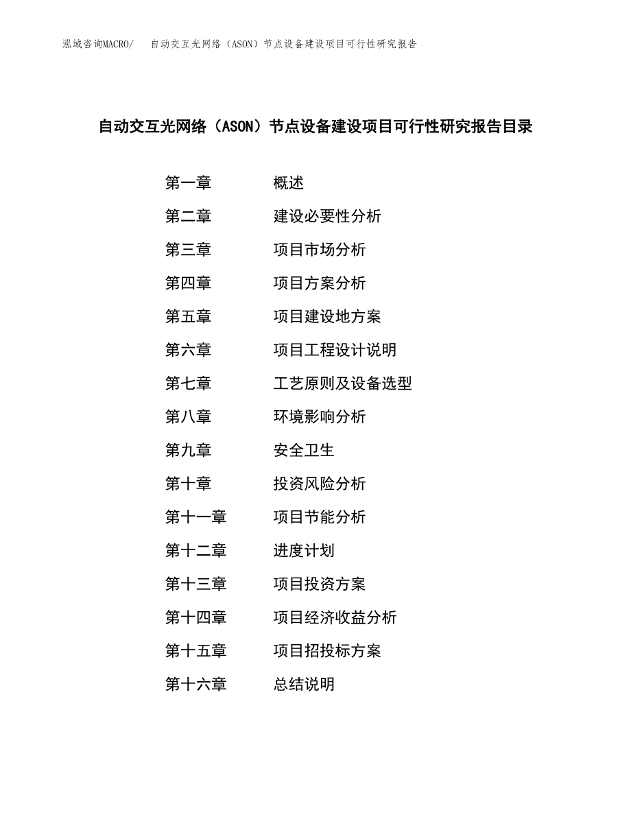 自动交互光网络（ASON）节点设备建设项目可行性研究报告（word下载可编辑）_第3页