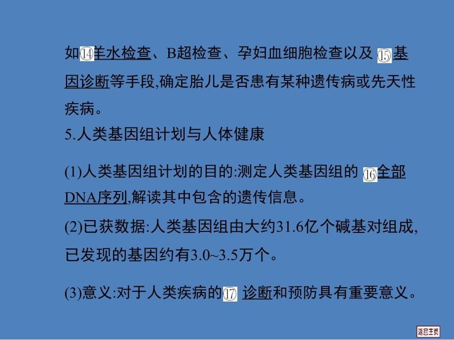 2014届高三生物一轮复习课件：-7.2-人类遗传病_第5页