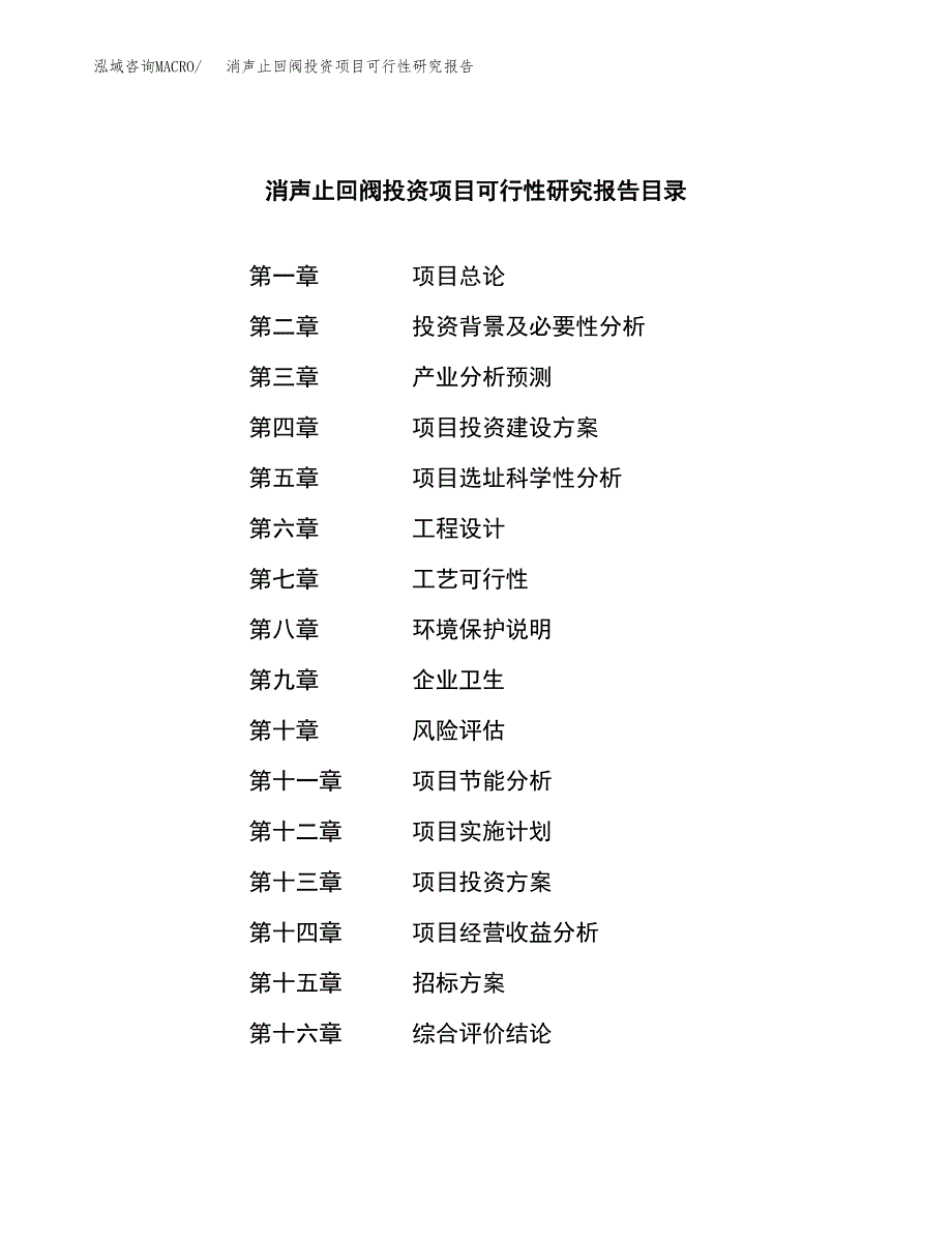 消声止回阀投资项目可行性研究报告(word可编辑).docx_第2页