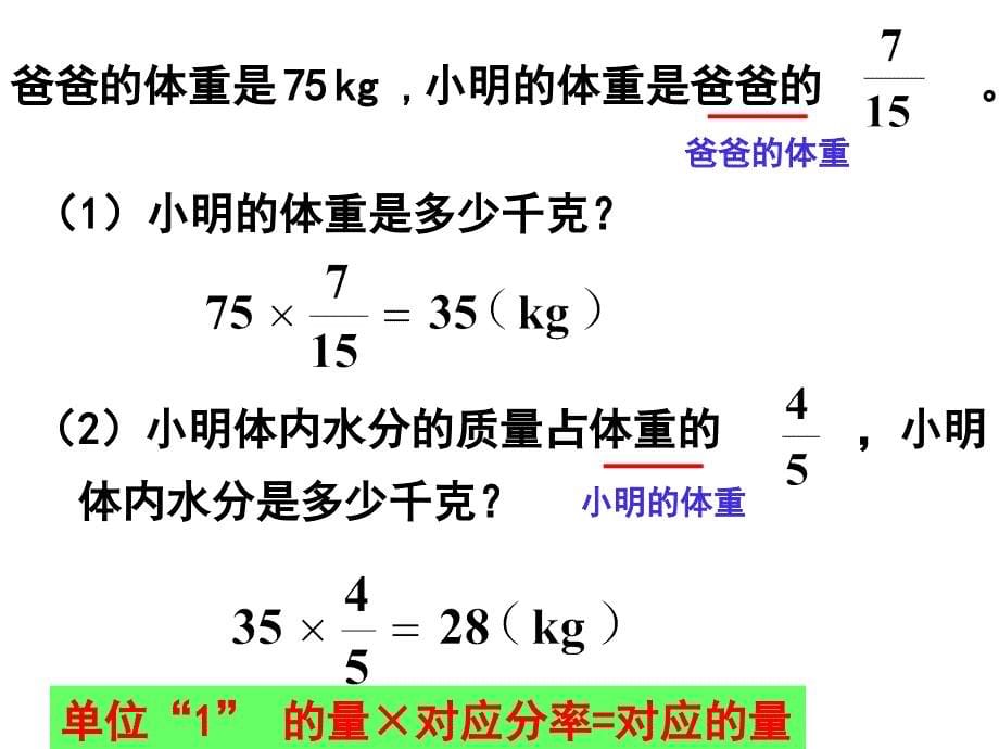 分数除法应用题(例5)_第5页