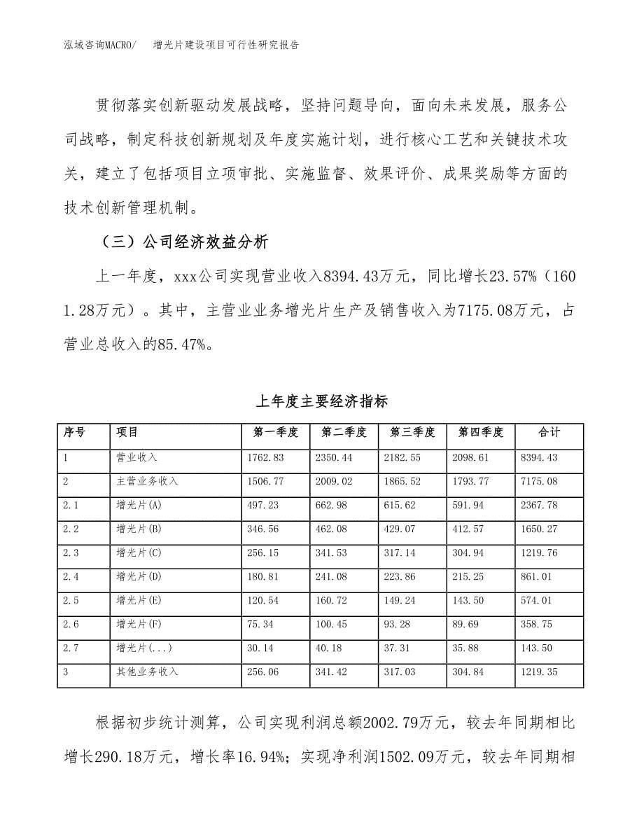 增光片建设项目可行性研究报告（word下载可编辑）_第5页