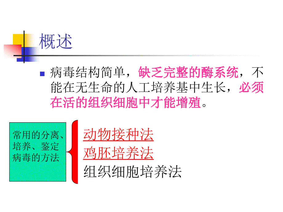 病毒接种_第3页