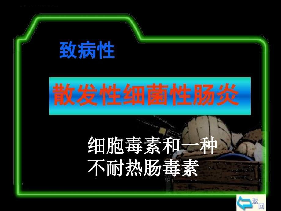 解读各种危害人体的细菌组织.ppt_第5页