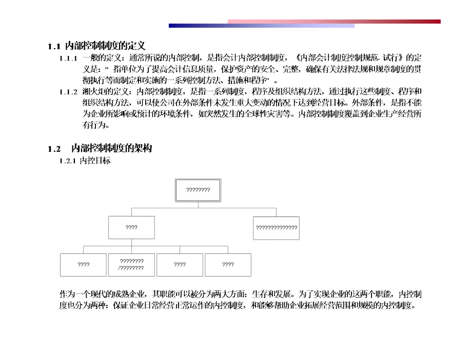 某某股份公司内部控制制度.ppt_第4页