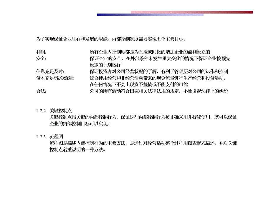 某某股份公司内部控制制度.ppt_第5页