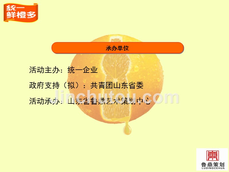 山东区域地面执行管理规划.ppt_第2页