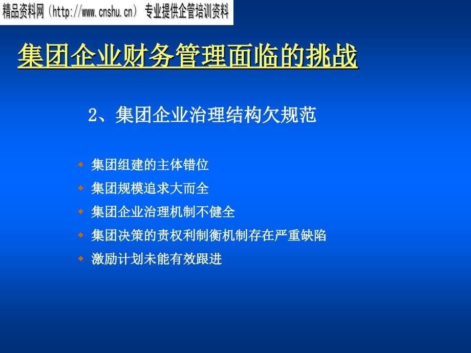 某企业战略财务管理研究报告.ppt_第5页