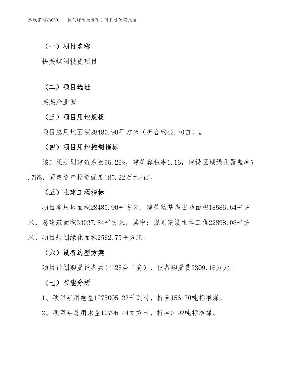 快关蝶阀投资项目可行性研究报告(word可编辑).docx_第5页