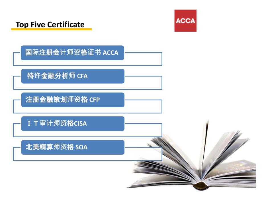 acca-介绍_第3页