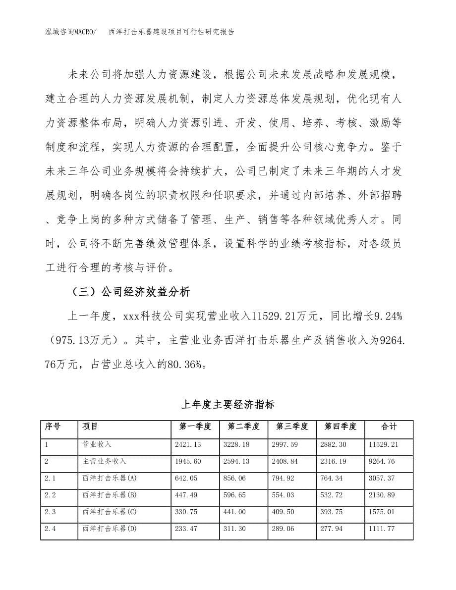 西洋打击乐器建设项目可行性研究报告（word下载可编辑）_第5页