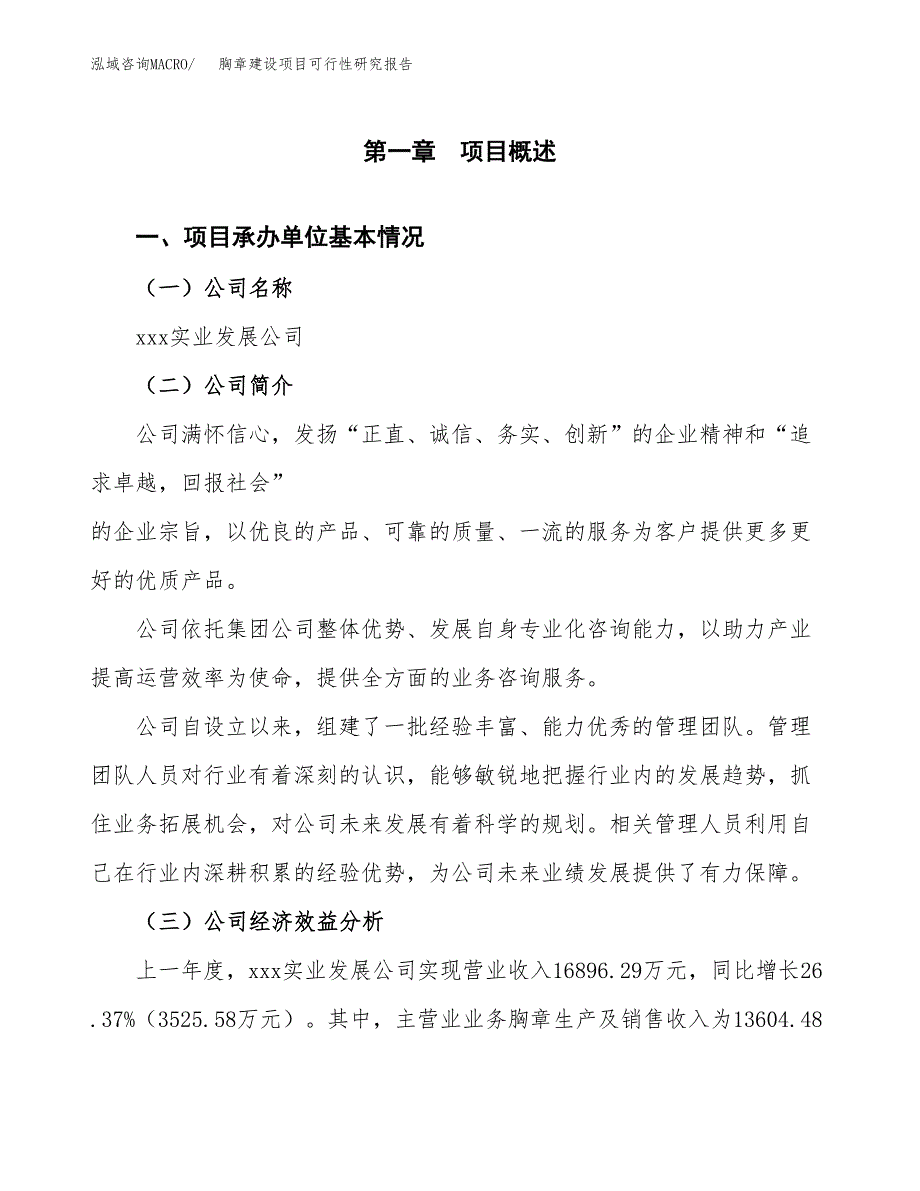 胸章建设项目可行性研究报告（word下载可编辑）_第4页