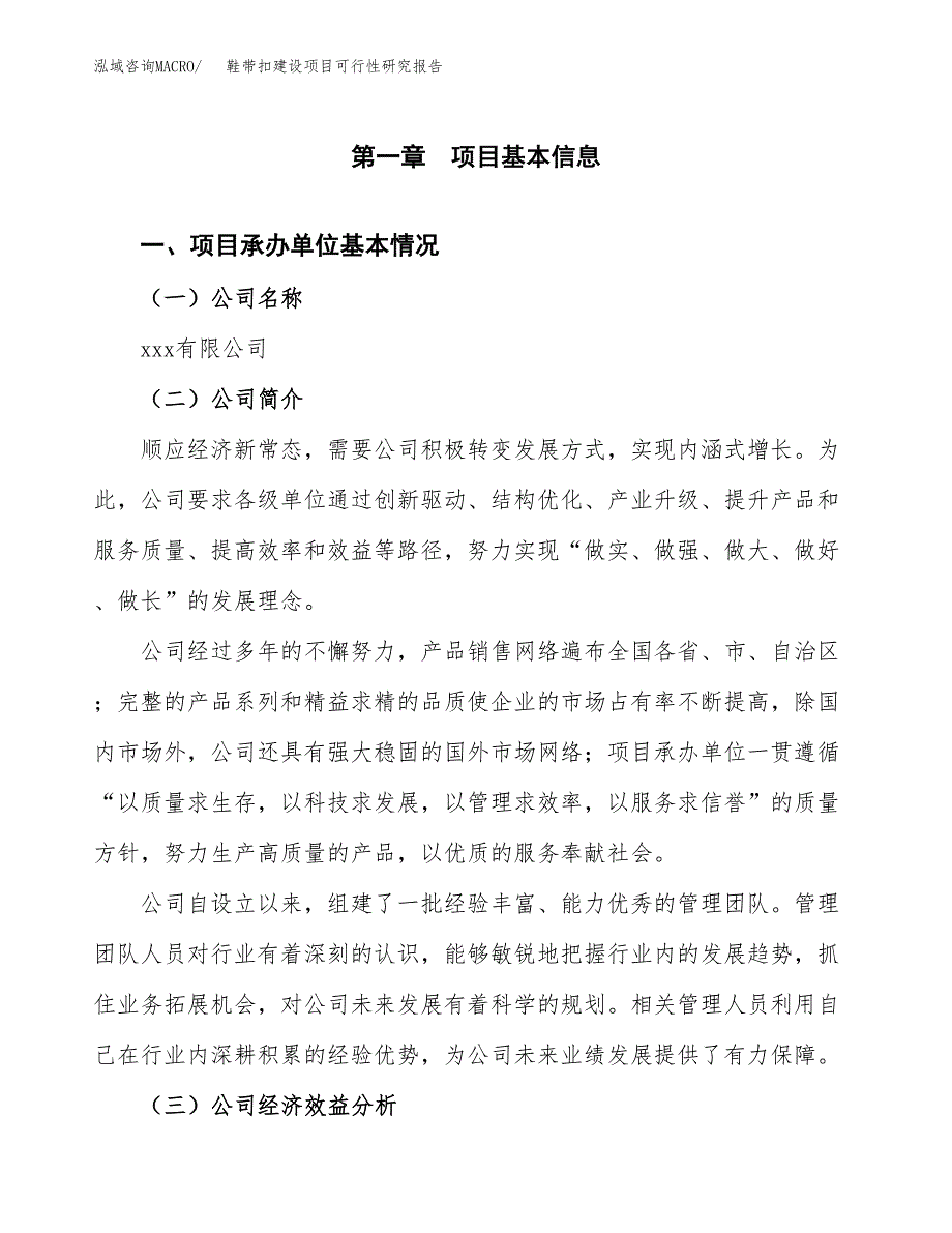 鞋带扣建设项目可行性研究报告（word下载可编辑）_第4页