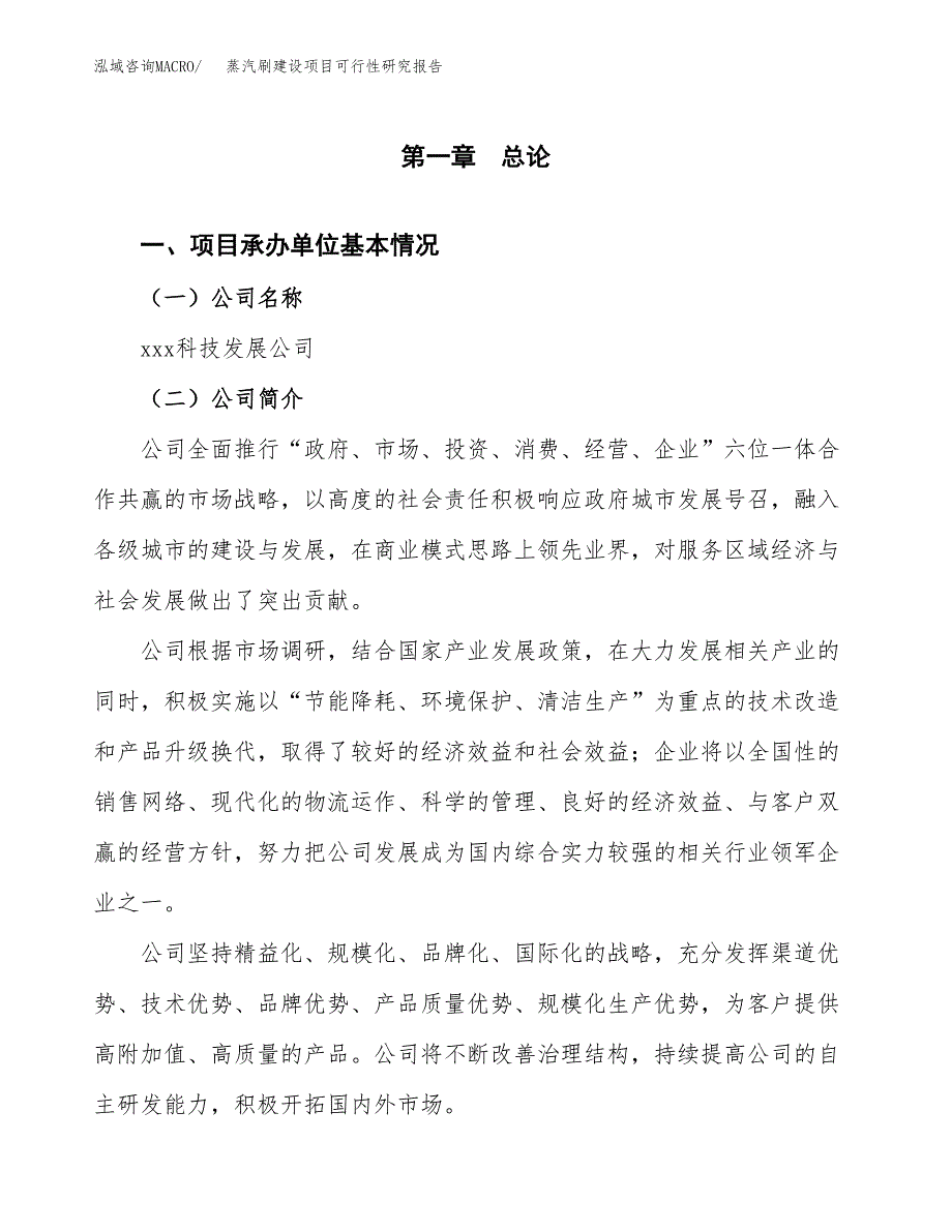 蒸汽刷建设项目可行性研究报告（word下载可编辑）_第4页