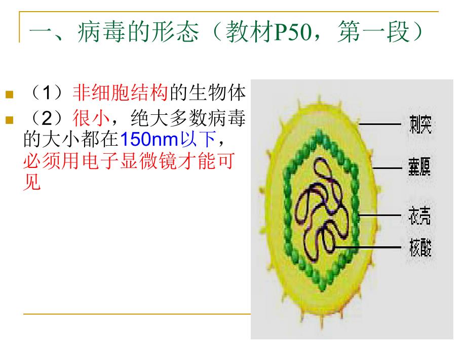 病毒——非细胞形态生物浅谈_第2页