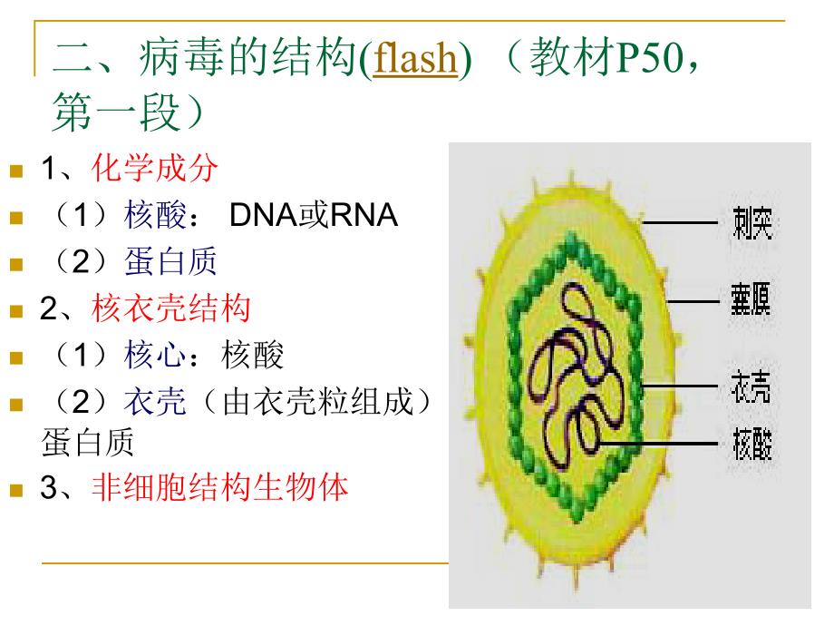 病毒——非细胞形态生物浅谈_第4页