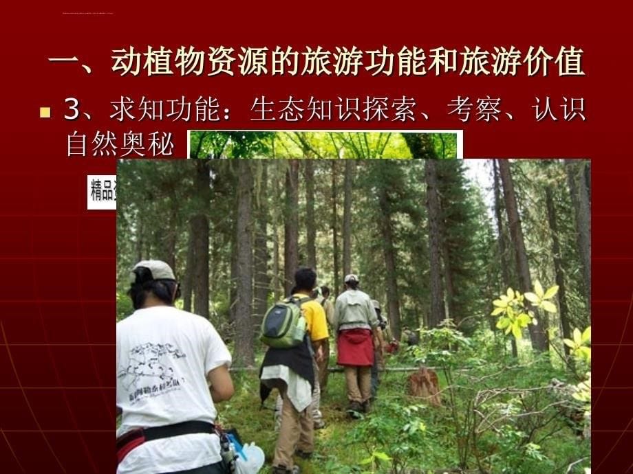 动植物旅游资源介绍.ppt_第5页