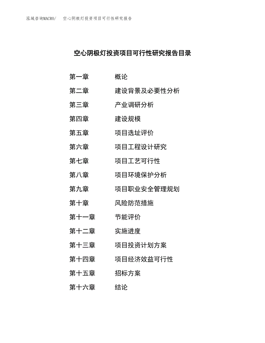 空心阴极灯投资项目可行性研究报告(word可编辑).docx_第2页