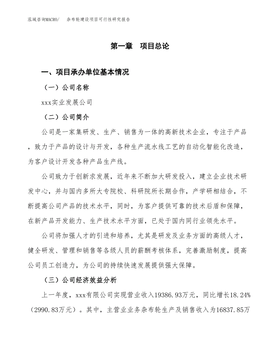 杂布轮建设项目可行性研究报告（word下载可编辑）_第4页